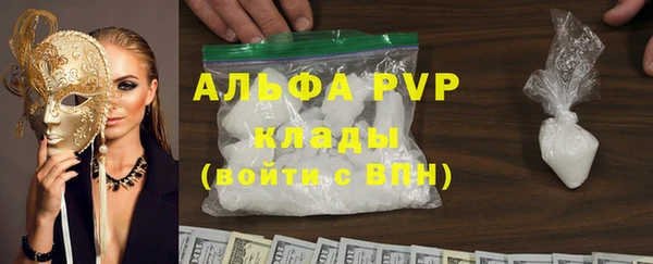 индика Заволжье