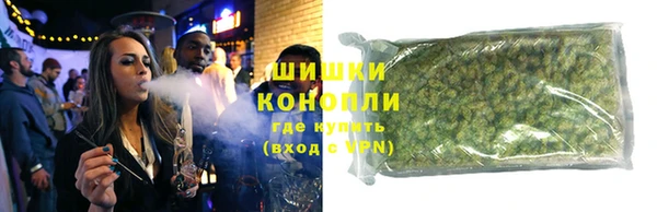 индика Заволжье
