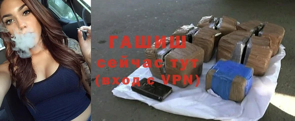 индика Заволжье