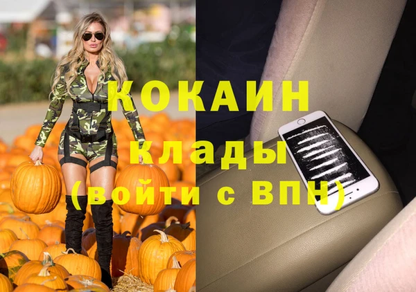 индика Заволжье