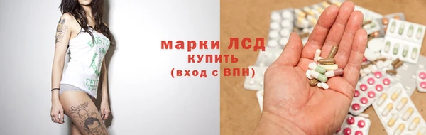 индика Заволжье