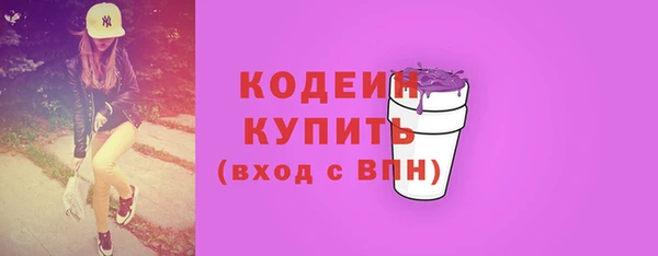 индика Заволжье