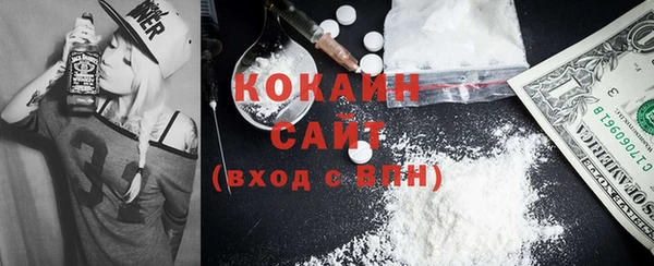 индика Заволжье