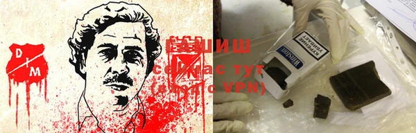 индика Заволжье